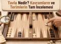 Tavla Nedir - Kavramların ve Terimlerin Tam İncelemesi