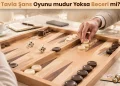 Tavla Şans Oyunu mudur Yoksa Beceri mi